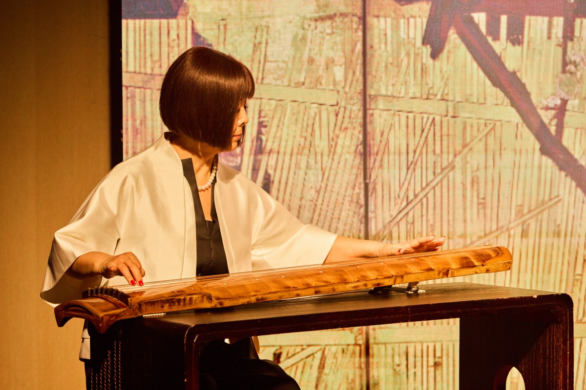 杨丽宁现场古琴演奏